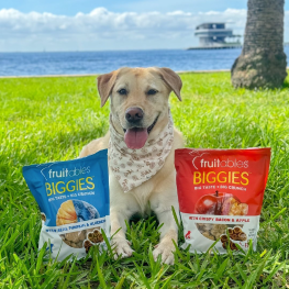 Dog lying in grass panting next to Fruitables treats