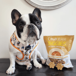 Black and white dog sitting with Fruitables treats