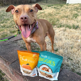 Dog standing looking at camera with Fruitables treats