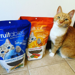 Cat sitting with Fruitables treats