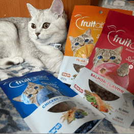 Cat lying down next to multiple bags of Fruitables treats